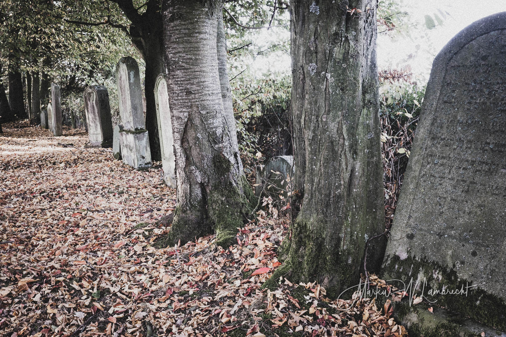 Ebersburg, Jüdischer Friedhof